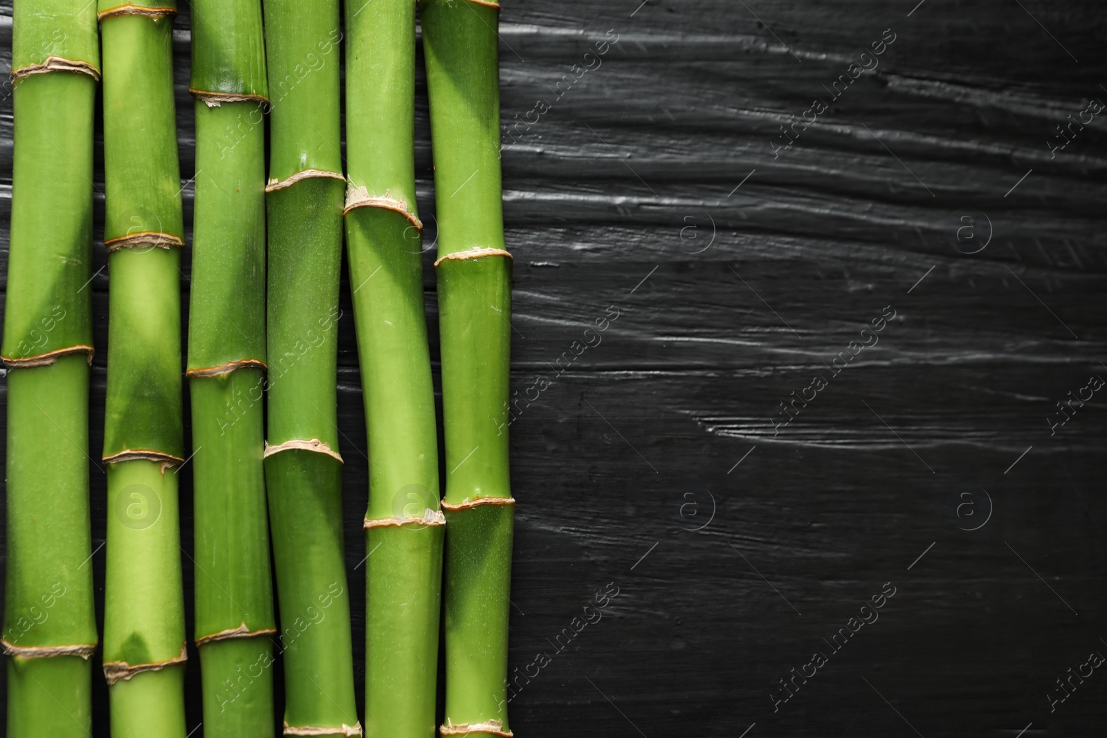 Photo of Green bamboo stems and space for text on wooden background, top view