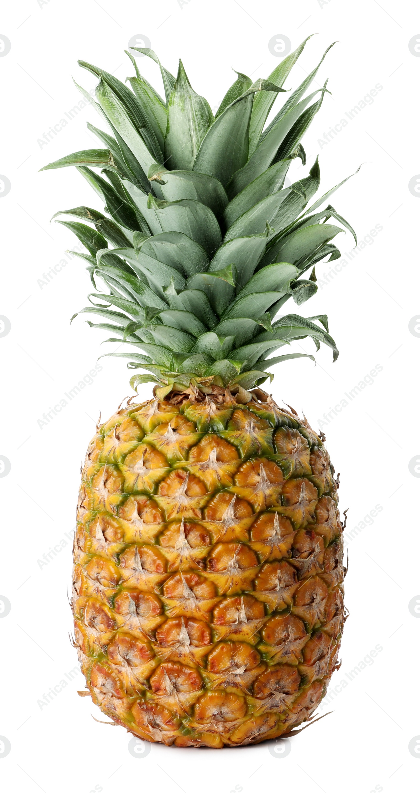 Photo of Delicious ripe pineapple with leaves isolated on white