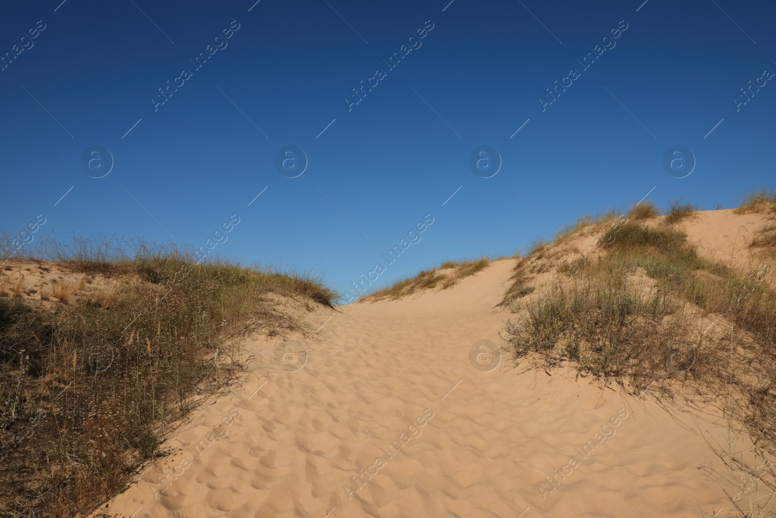 Photo of Picturesque view of desert on sunny day