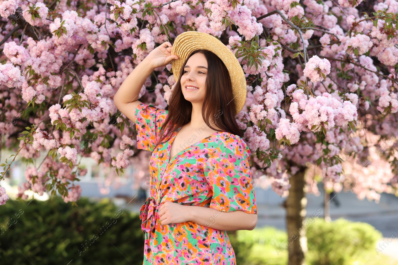 Photo of Beautiful woman in straw hat near blossoming tree on spring day