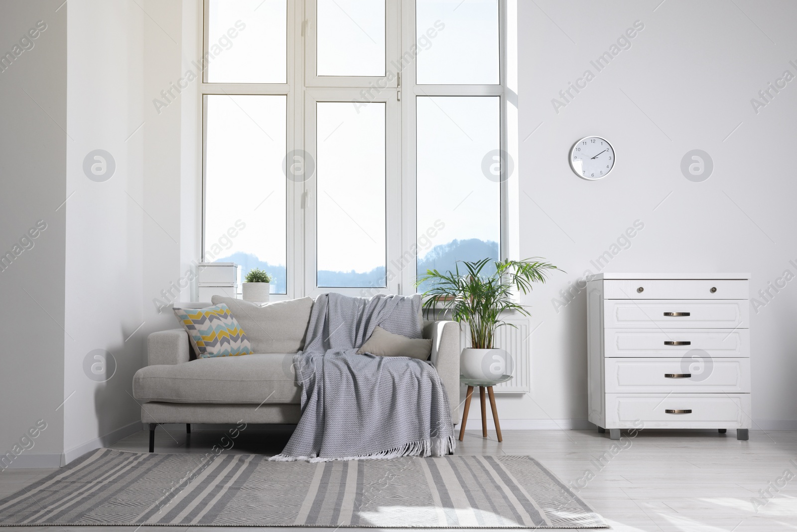 Photo of Cosy living room with sofa, chest of drawers and potted plant. Interior design