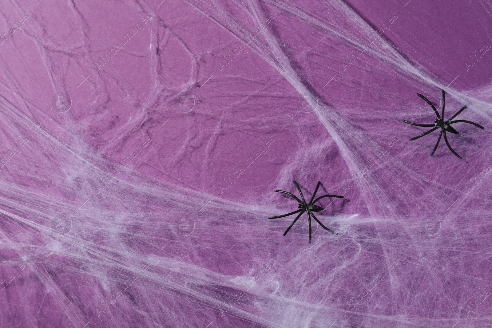 Photo of Cobweb and spiders on violet background, top view