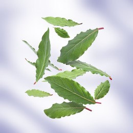 Fresh bay leaves falling on color background