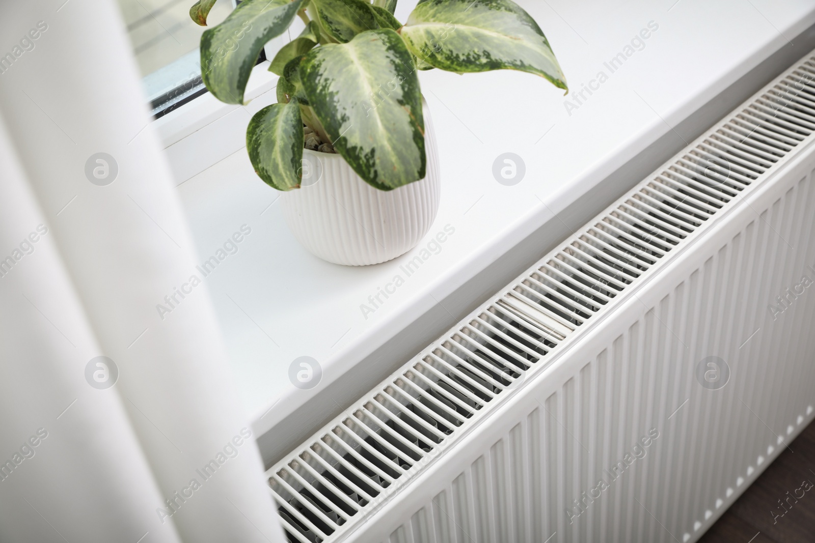 Photo of Beautiful houseplant on window sill and modern radiator at home. Central heating system