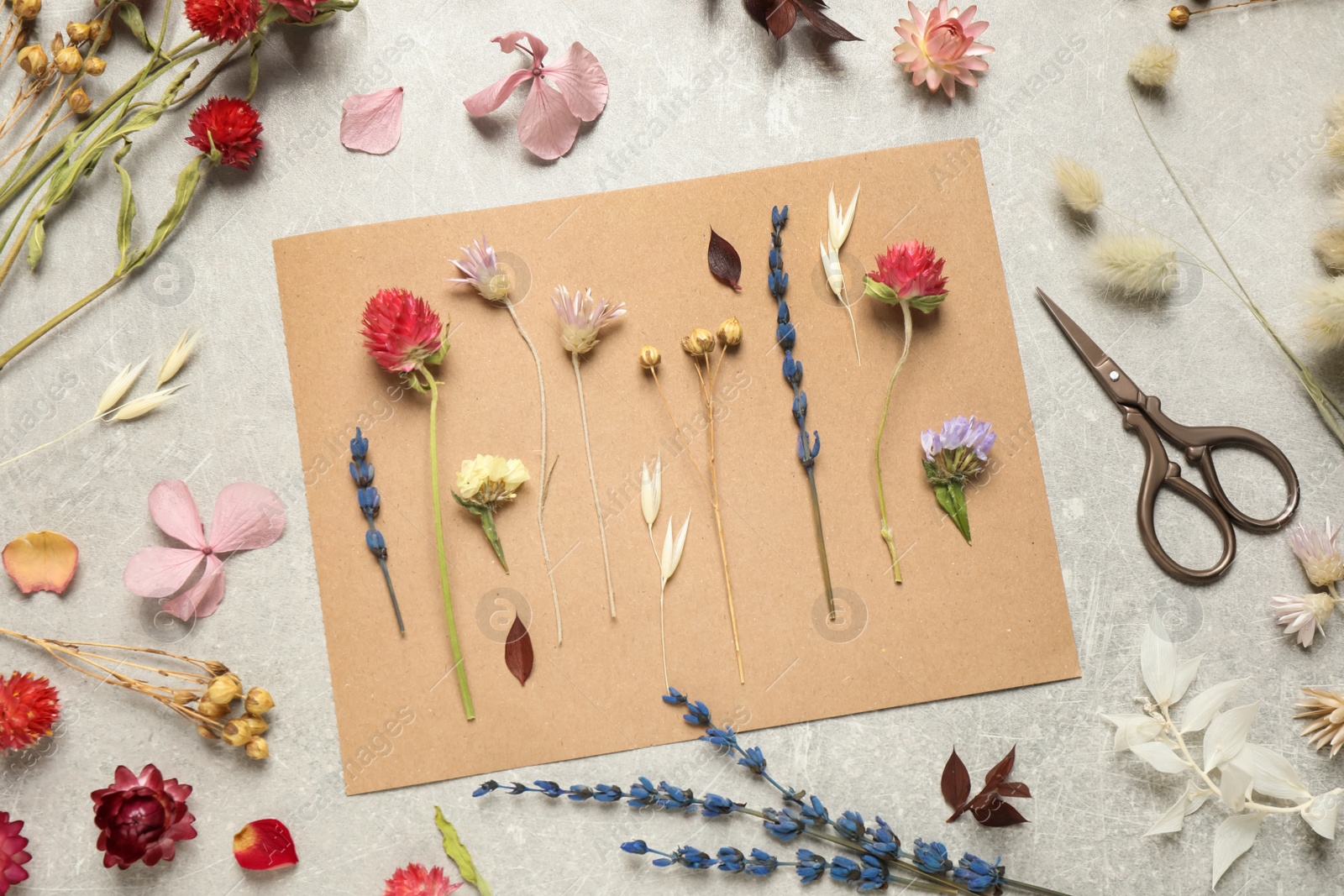 Photo of Flat lay composition with beautiful fresh and dry flowers on light grey background