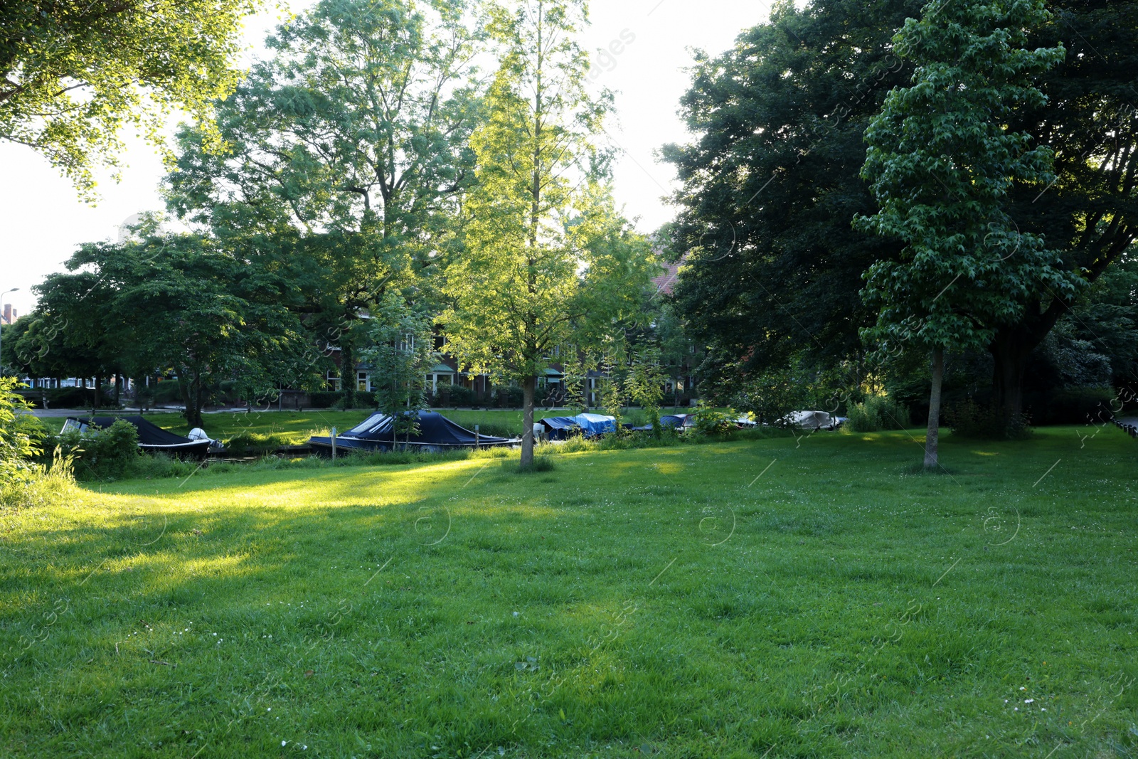 Photo of Picturesque view of beautiful park with fresh green grass and trees on sunny day