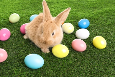 Adorable furry Easter bunny and colorful eggs on green grass