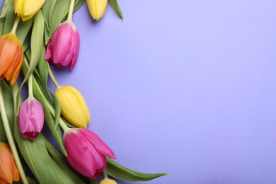 Photo of Beautiful tulips on violet background, flat lay. Space for text