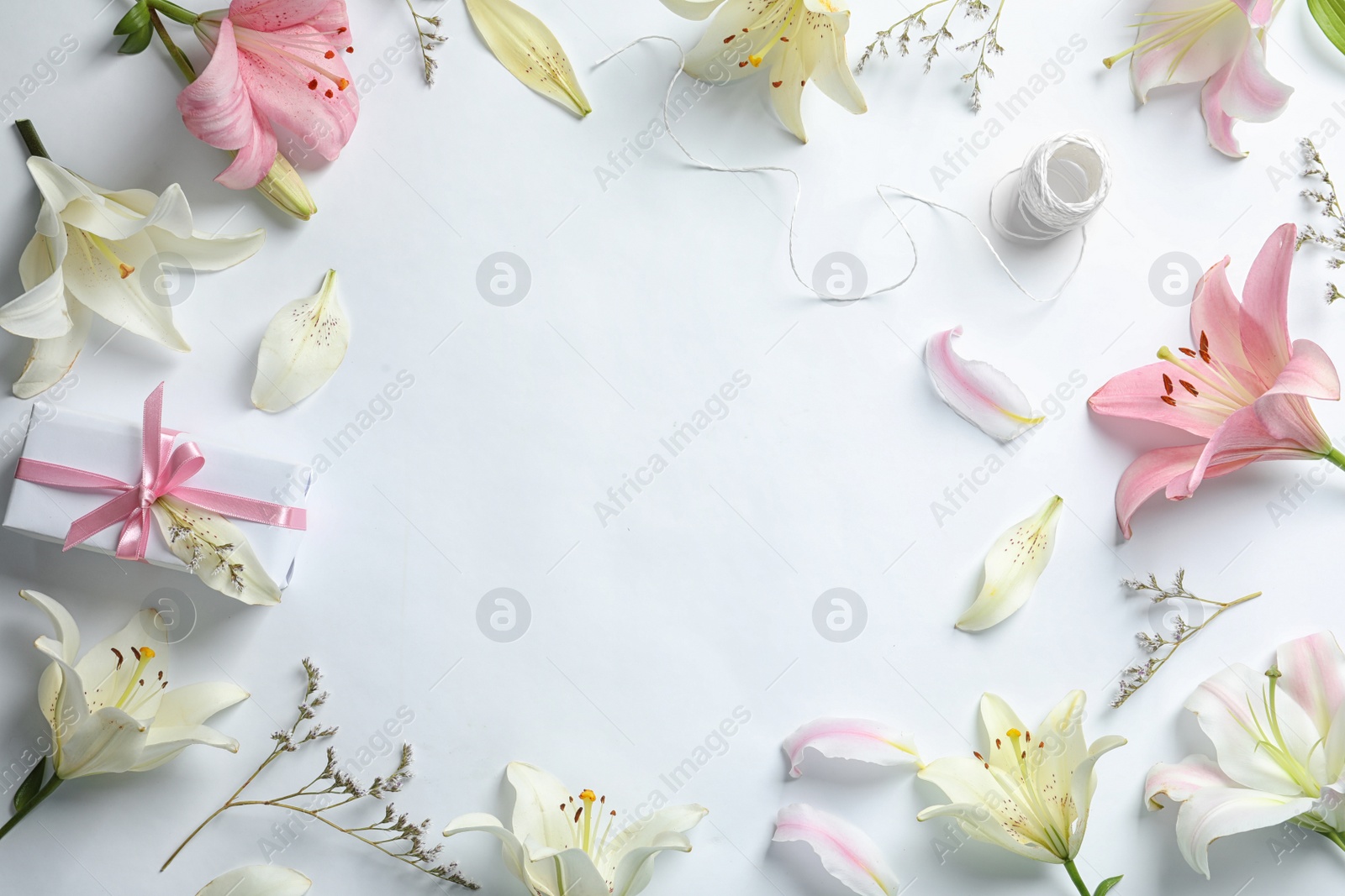 Photo of Flat lay composition with beautiful blooming lily flowers on white background