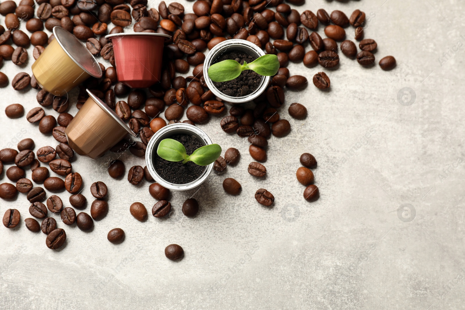 Photo of Coffee capsules with seedlings and beans on light grey table, flat lay. Space for text