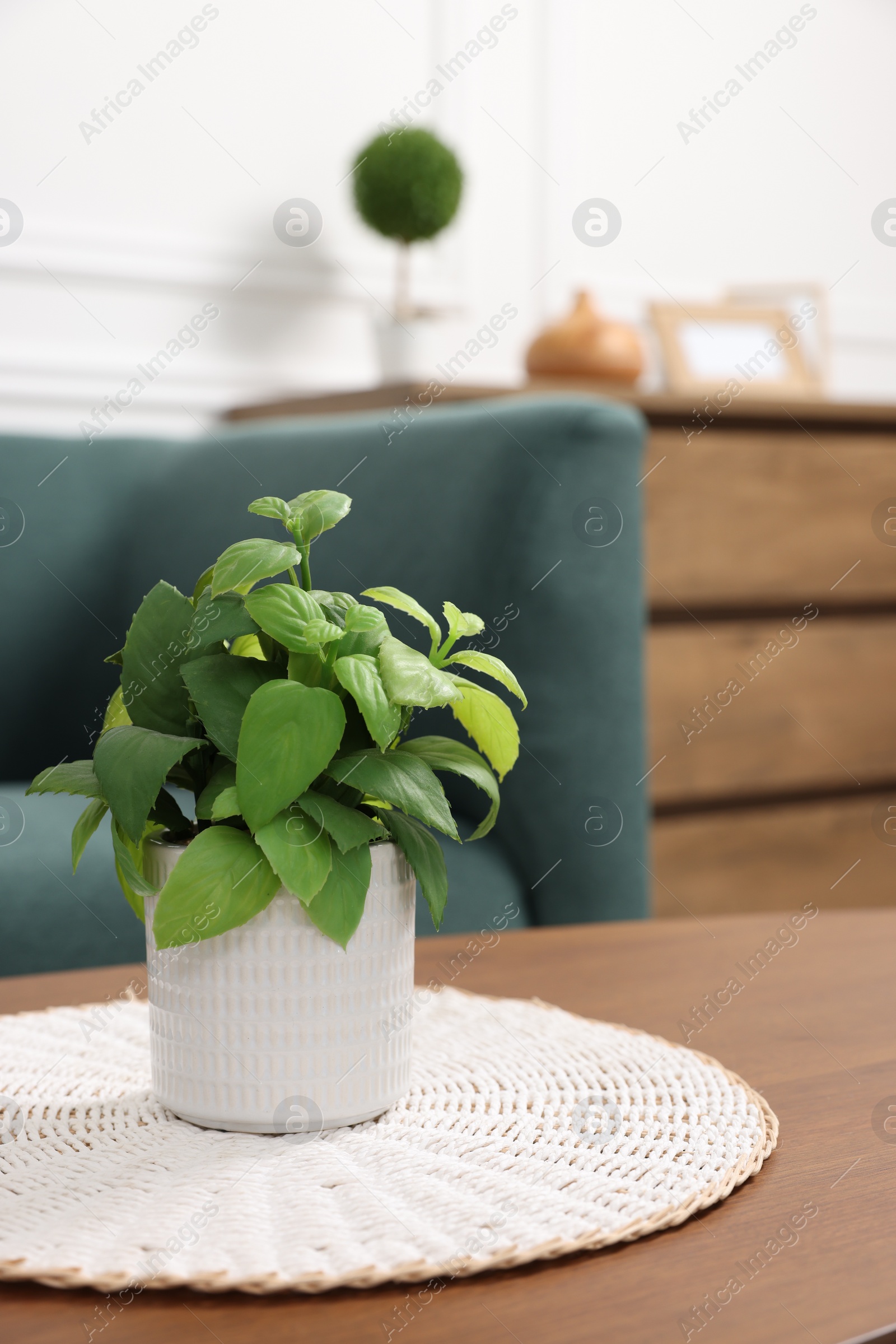 Photo of Green artificial plant in pot on wooden table indoors, space for text