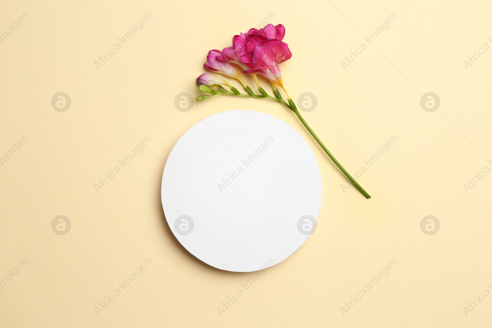 Photo of Flat lay composition with card and beautiful flower on color background, space for text