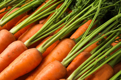 Photo of Fresh ripe carrots as background, closeup view