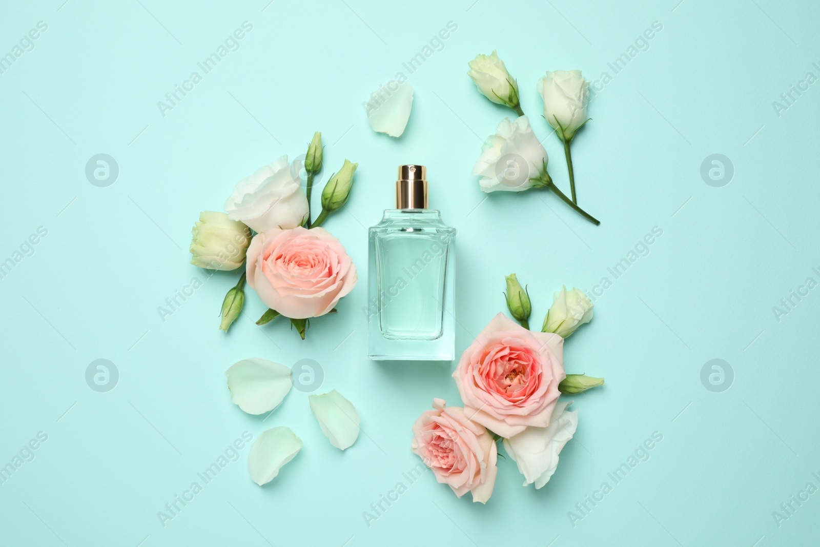 Photo of Flat lay composition with bottle of perfume and flowers on cyan background