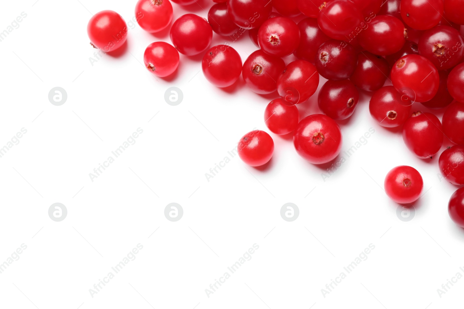 Photo of Pile of fresh ripe cranberries on white background, top view