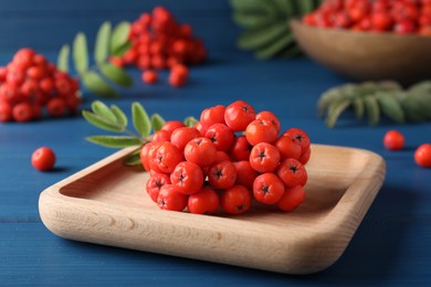 Photo of Wooden plate with fresh ripe rowan berries on blue table, closeup