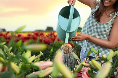 Photo of Young woman watering flowers in lily field, closeup with space for text. Gardening tools