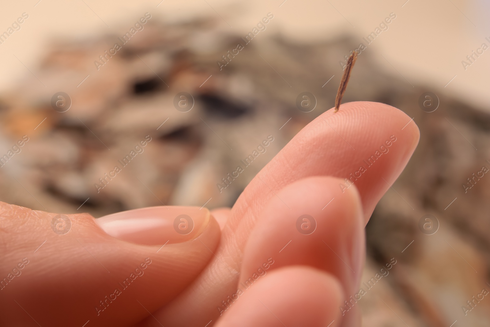 Photo of Woman with splinter in her finger on blurred background, closeup