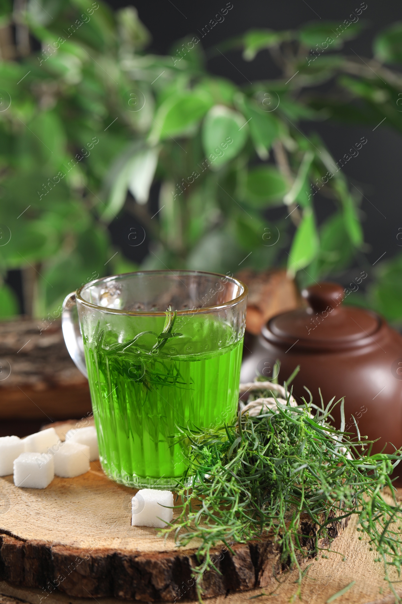 Photo of Aromatic herbal tea, fresh tarragon sprigs and sugar cubes on table. Space for text
