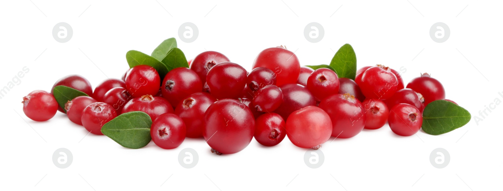 Photo of Pile of fresh ripe cranberries with leaves isolated on white