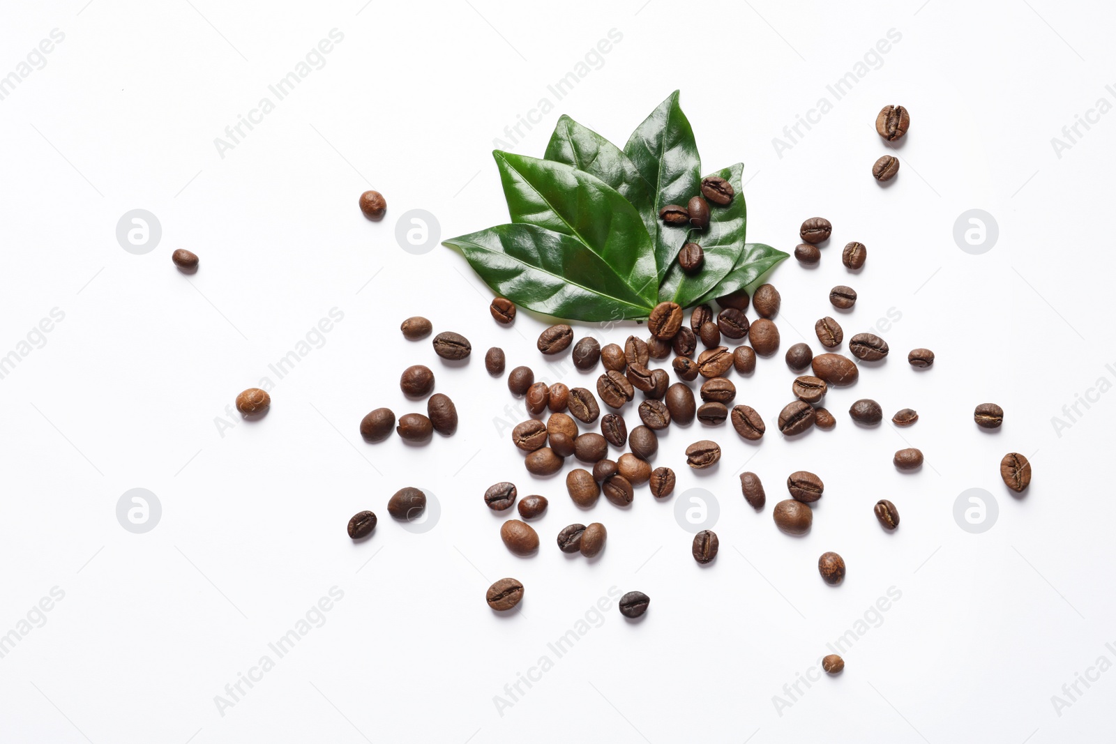 Photo of Fresh green coffee leaves and beans on white background, top view