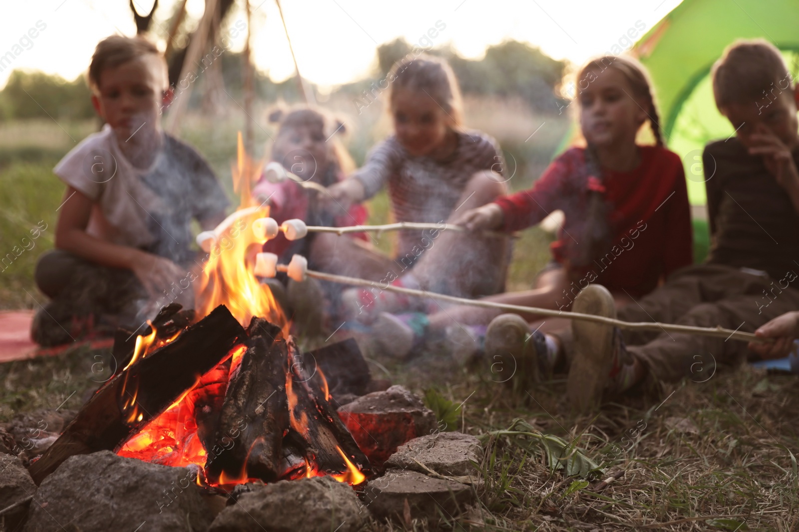 Photo of Little children frying marshmallows on bonfire. Summer camp