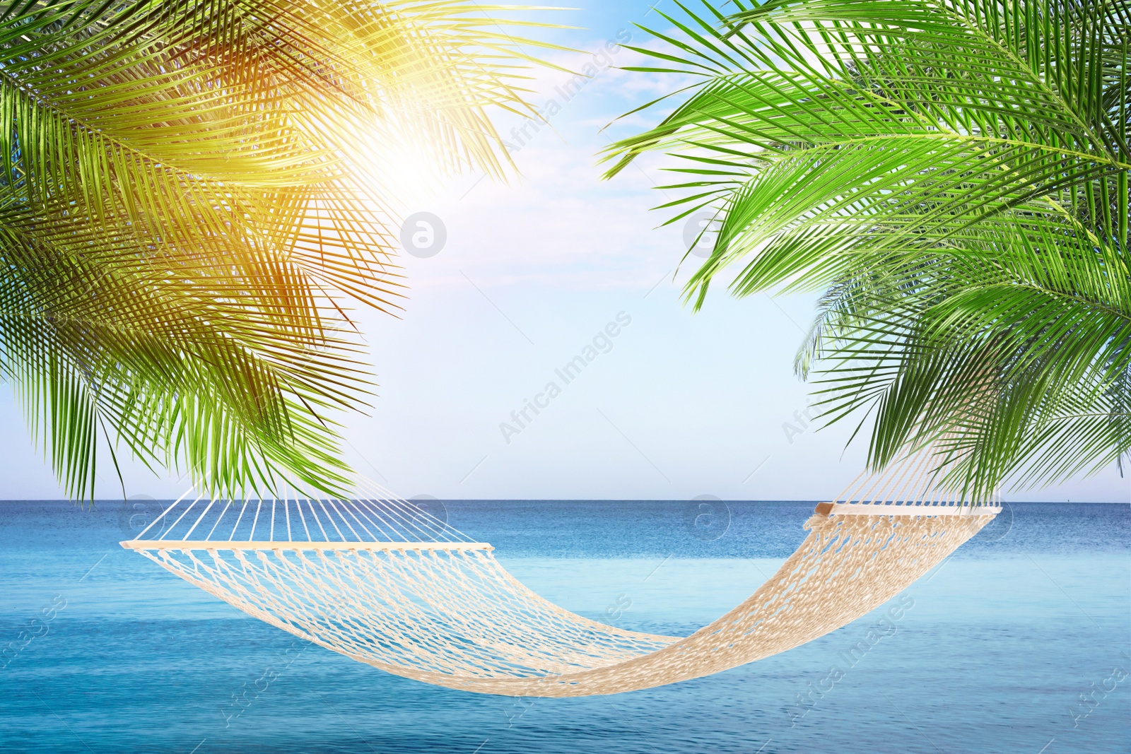 Image of Hammock between palms near sea on sunny day