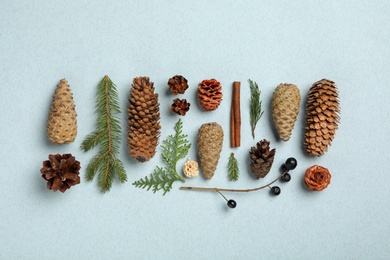 Photo of Flat lay composition with pinecones on light blue background