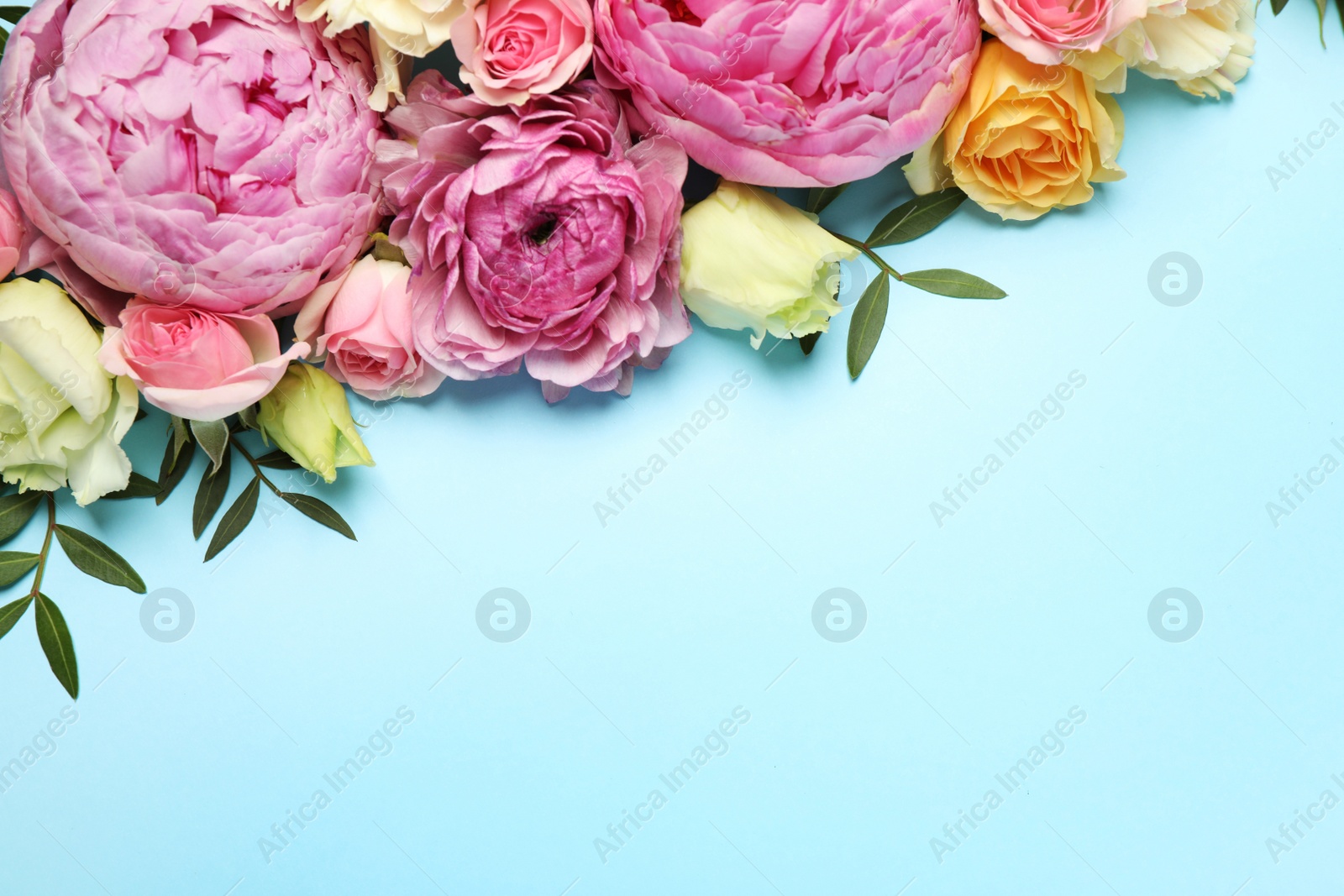 Photo of Flat lay composition with beautiful flowers and space for text on light blue background. Floral card design