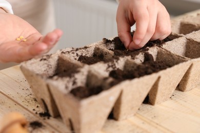 Photo of Little girl planting vegetable seeds into peat pots with soil at wooden table, closeup