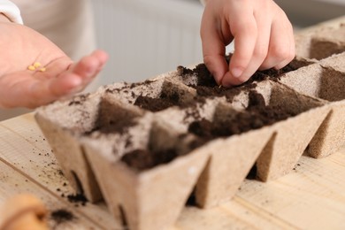 Little girl planting vegetable seeds into peat pots with soil at wooden table, closeup