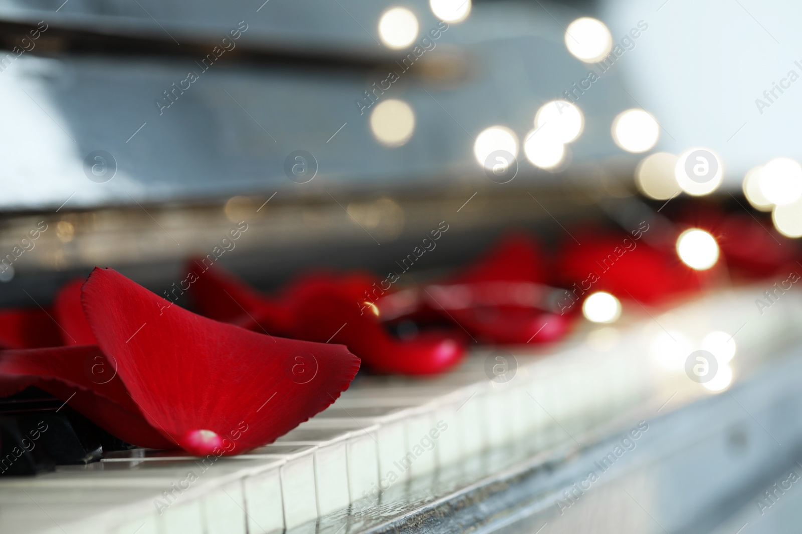 Photo of Many red rose petals on piano keys against blurred festive lights, closeup. Space for text