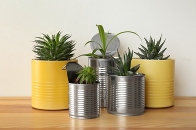 Beautiful houseplants in tin cans on wooden table