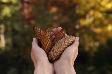 Photo of Woman holding pine cones outdoors on autumn day, closeup