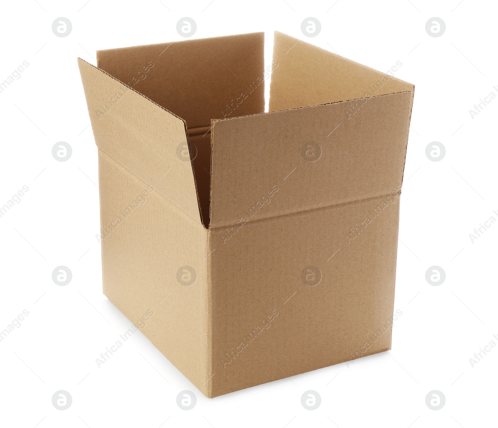 Photo of One open cardboard box on white background