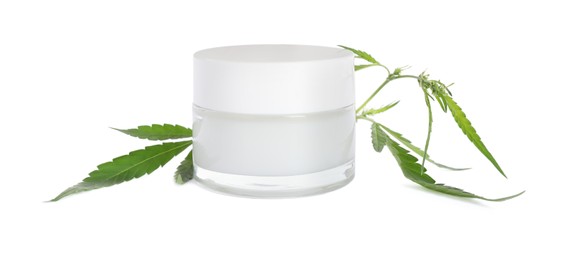 Photo of Jar of hemp cream and green leaves on white background. Natural cosmetics