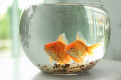 Photo of Beautiful bright small goldfishes in round glass aquarium on table indoors, closeup