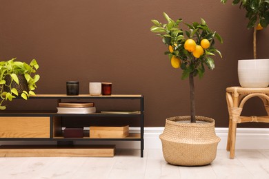 Photo of Simple room interior with small potted lemon tree  and console table
