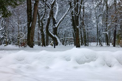 Photo of Heap of fluffy snow and trees in winter park