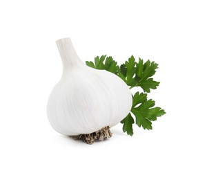 Photo of Fresh garlic bulb and parsley isolated on white