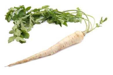 Photo of Tasty fresh ripe parsnip isolated on white