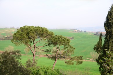 Photo of Picturesque rural landscape with green hills and trees