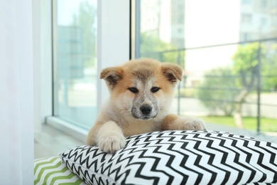 Photo of Adorable Akita Inu puppy looking into camera on pillows at home