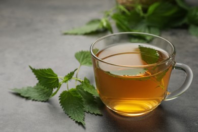 Photo of Glass cup of aromatic nettle tea and green leaves on grey table, space for text