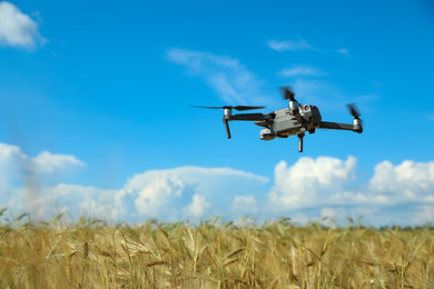 Photo of Modern drone flying over wheat grain field on sunny day. Agriculture industry