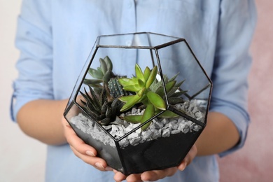Young woman holding florarium with different succulents on color background, closeup