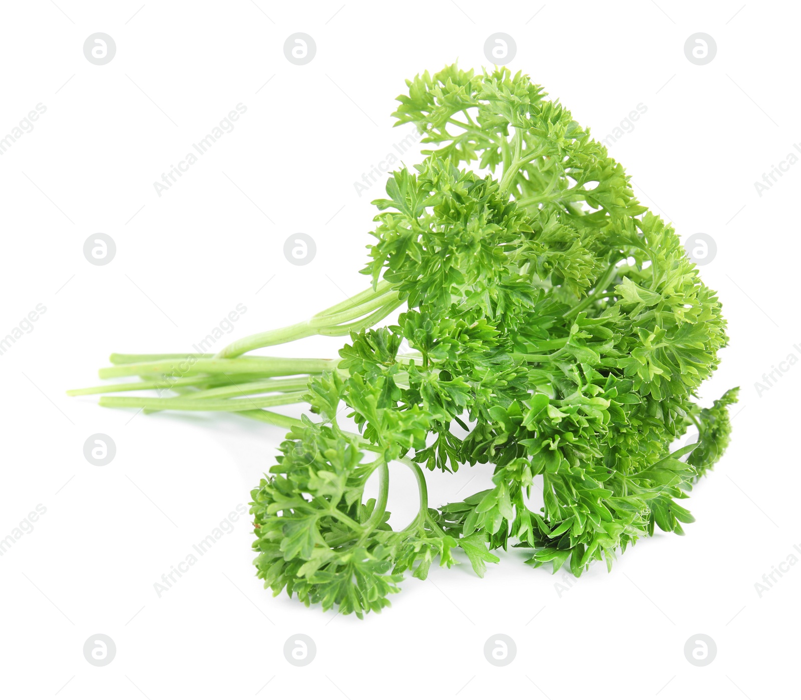 Photo of Fresh green organic parsley on white background