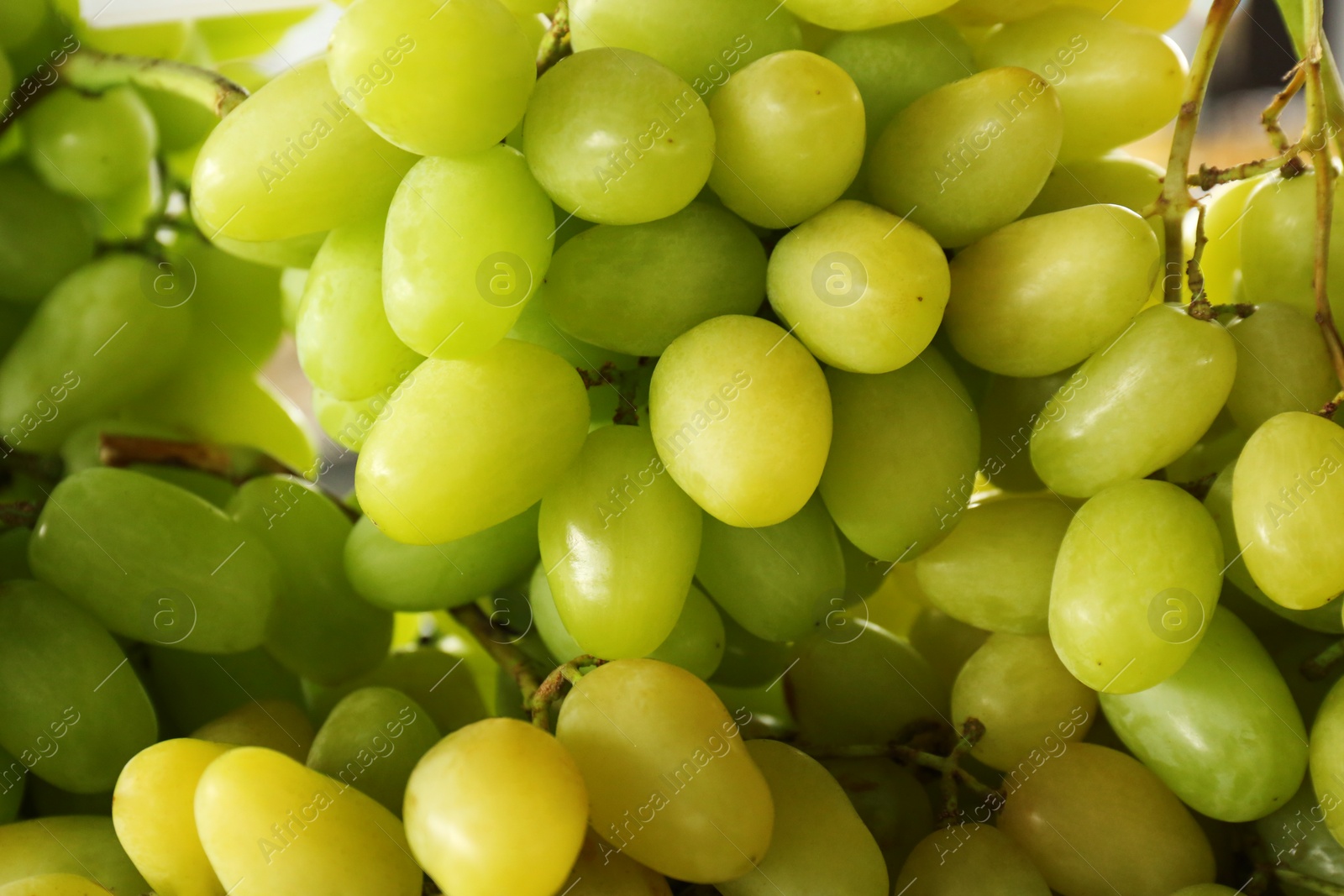 Photo of Fresh ripe juicy white grapes as background, closeup view