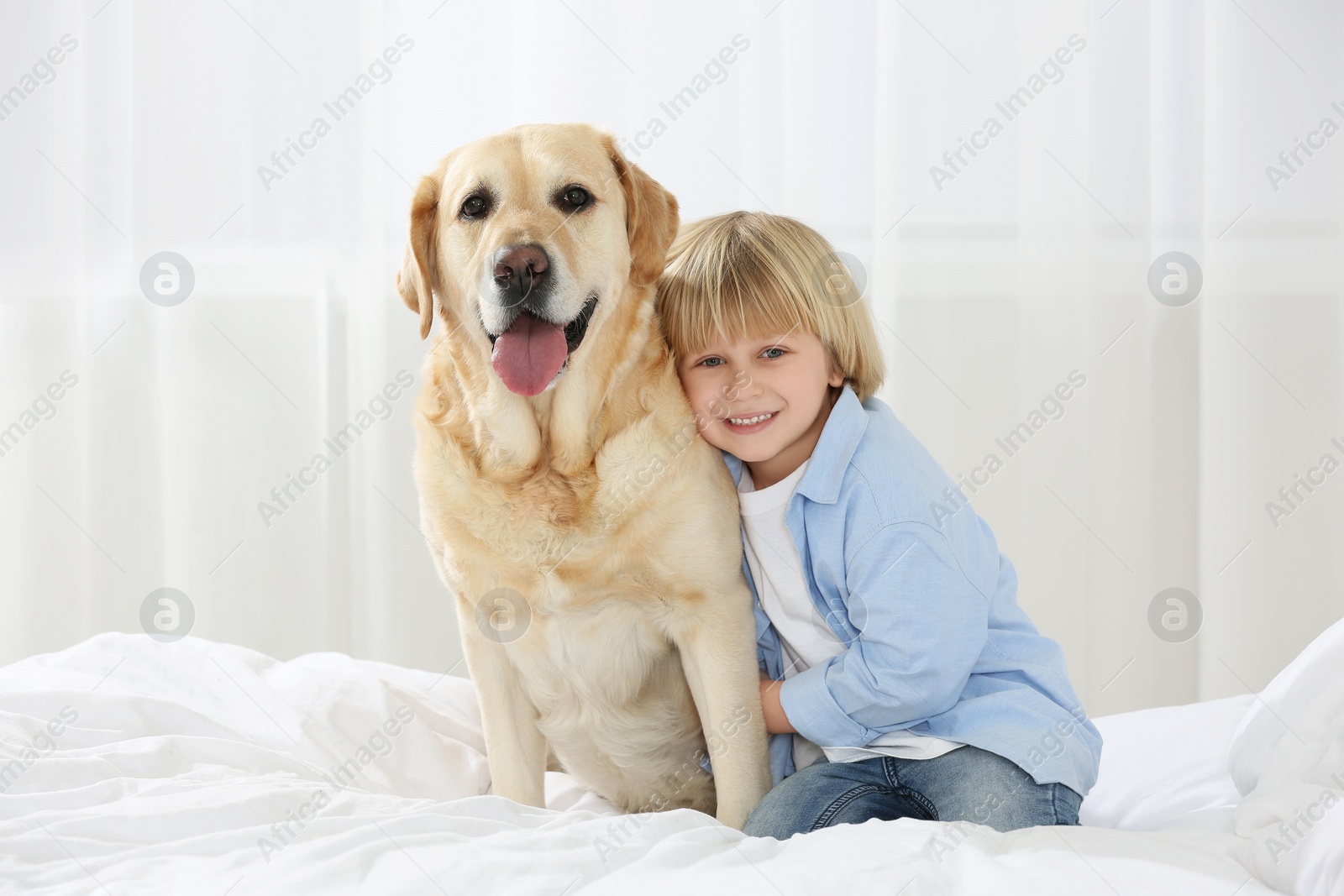 Photo of Cute little child with Golden Retriever on bed at home. Adorable pet