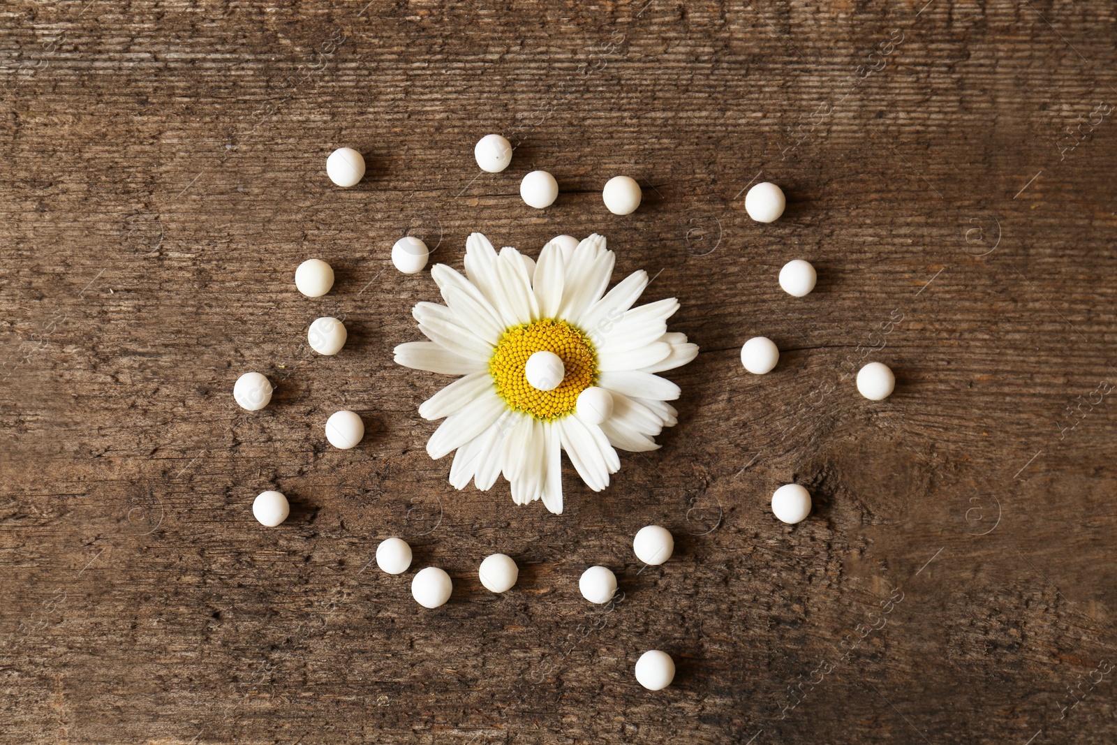 Photo of Homeopathic remedy and chamomile flower on wooden background, flat lay